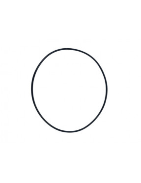 Уплотнительное кольцо КПП CARRARO 028571.