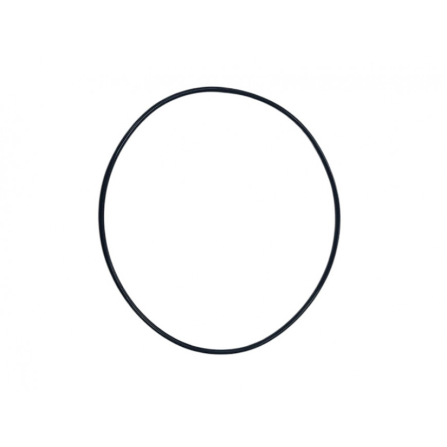 Уплотнительное кольцо КПП CARRARO 028571.