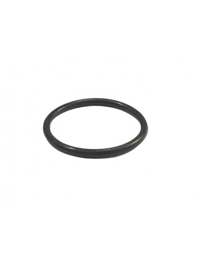 Уплотнительное кольцо CARRARO 028600 , 6194720M1