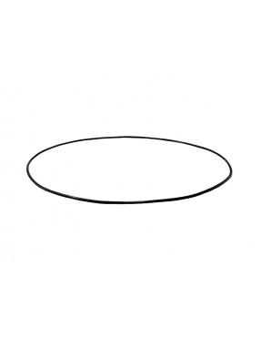 Уплотнительное кольцо для Carraro 028668, 15207 BX3