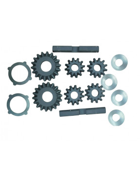 Комплект дифференциала заднего моста на Carraro 066572, C77AK11, 6193366M91, S06/42132, CA0066572.