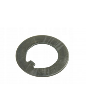 Шайба специальная на Carraro 113717