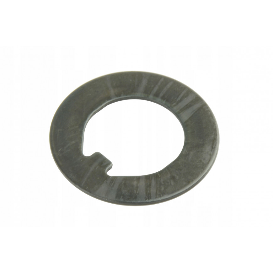 Шайба специальная на Carraro 113717