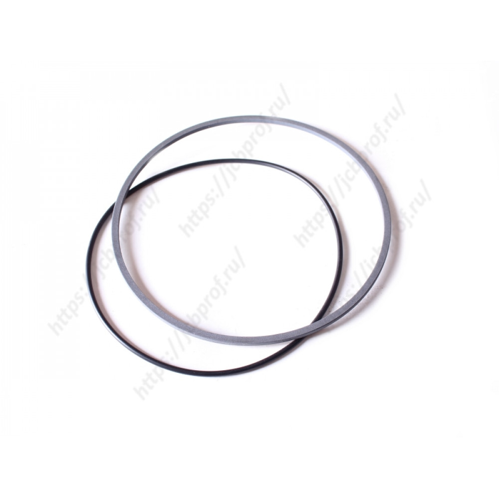 Уплотнительное кольцо CARRARO 139199