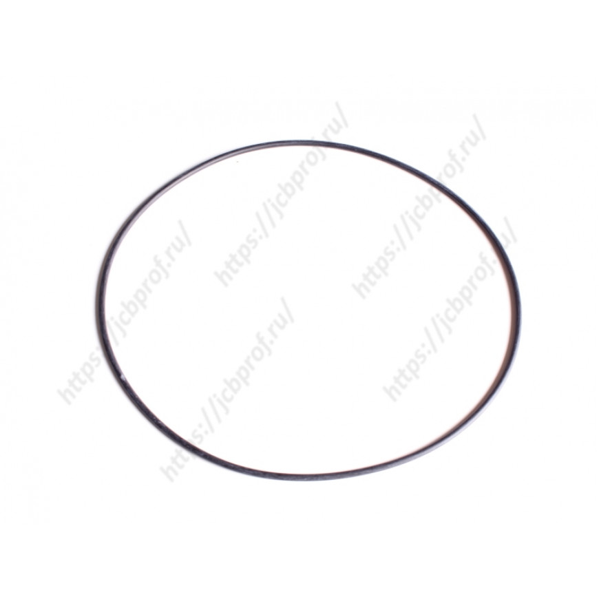 Уплотнительное кольцо CARRARO на  209-3041/GEUG080675