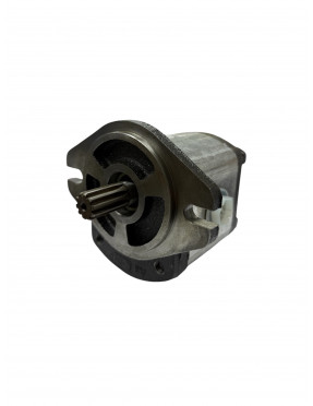 HEMA Гидравлический насос 1PN 168 CGS3/310 (заказной)