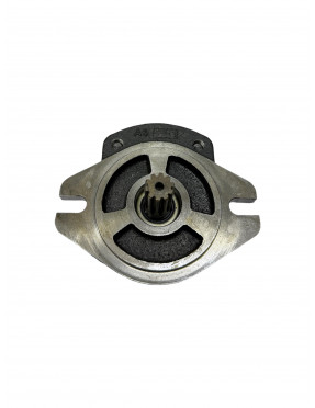 HEMA Гидравлический насос 1PN 168 CGS3/310 (заказной)