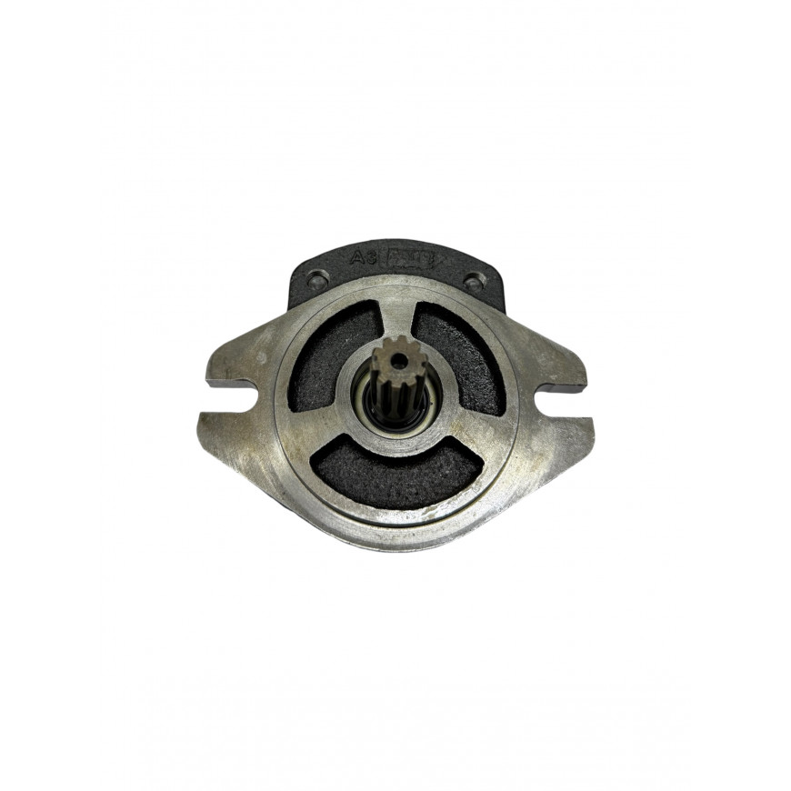 HEMA Гидравлический насос 1PN 168 CGS3/310 (заказной)