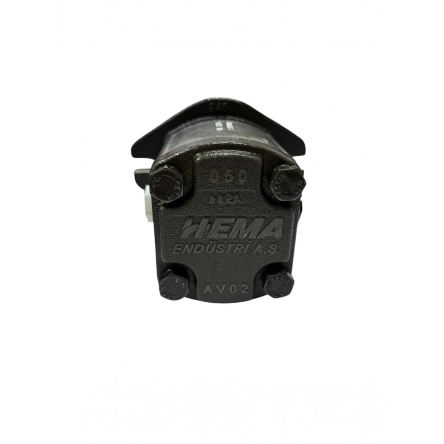 HEMA Гидравлический насос 1PN 168 CGS3/310 (заказной)