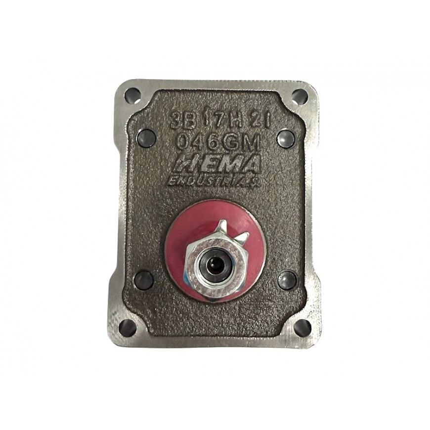 HEMA Гидравлический насос 1PN 095 CB6