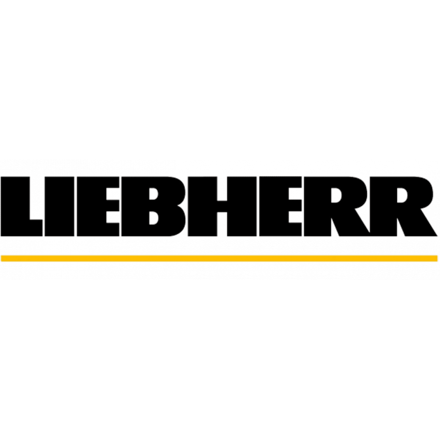 Поршень 10033150 для экскаватора Liebherr