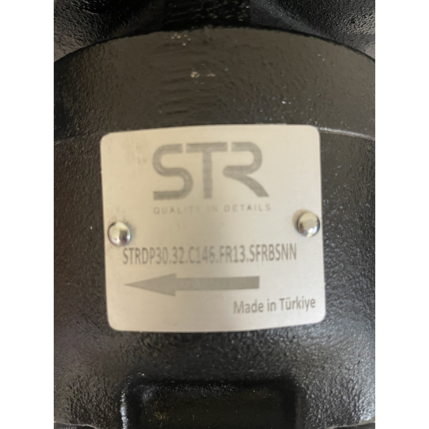 Насос шестеренный STRDP30.32.C146.FR13.SFRBSNN