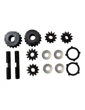 Комплект дифференциала заднего моста на Carraro. 066572, C77AK11, 6193366M91, S06/42132, CA0066572.